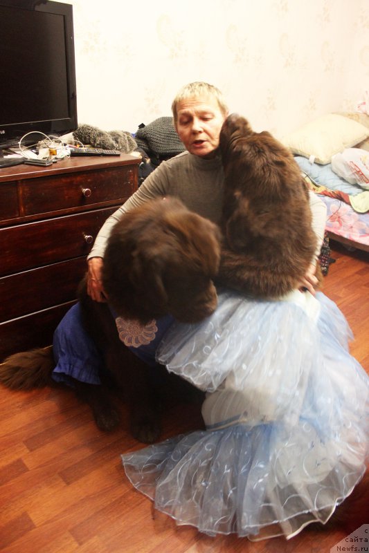 Фотография № 170421