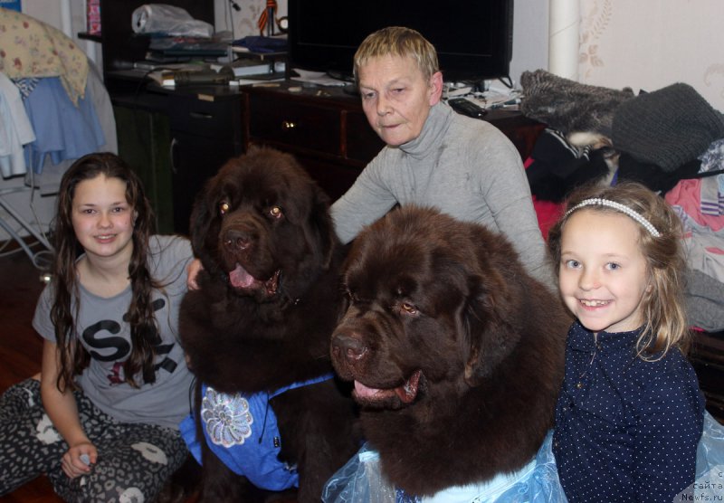 Фото: Mariya SHmeleva (Мария Шмелева), ньюфаундленд Charmer Denkam Bronze (Чармер Денкам Бронз), Ol'ga Esina (Ольга Есина), ньюфаундленд Charmer Denkam Bronze (Чармер Денкам Бронз), Полина