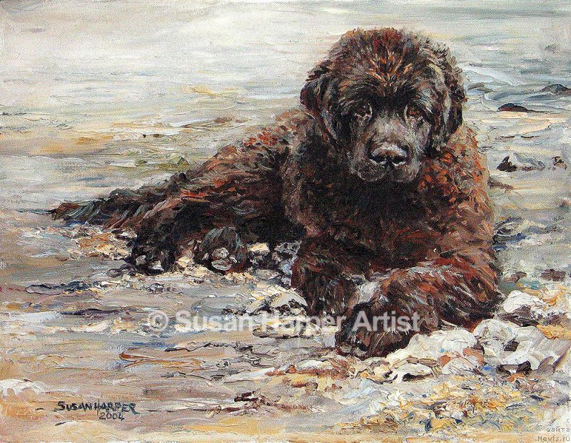 Фотография № 170424