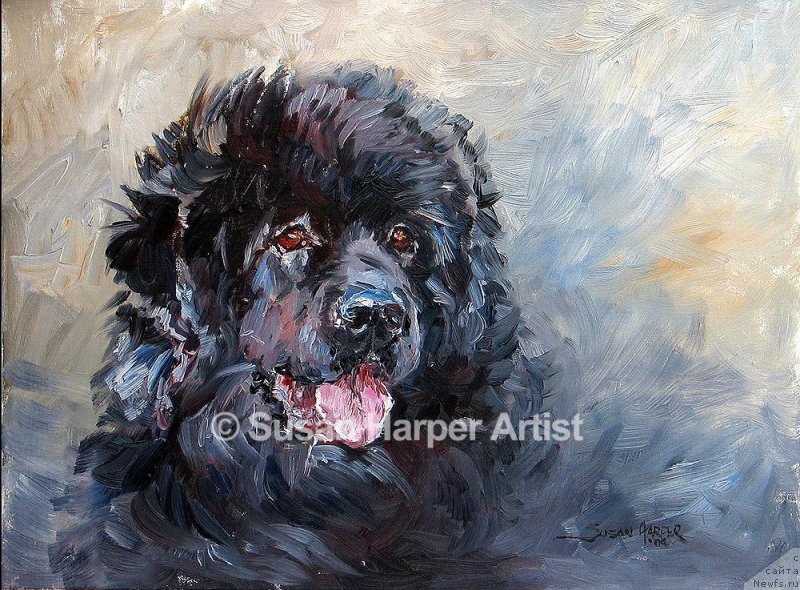 Фотография № 170425