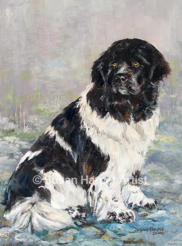 Фотография № 170428