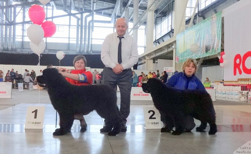 Фотография № 170483