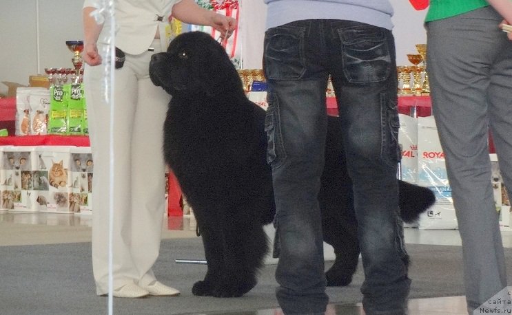 Фотография № 170486