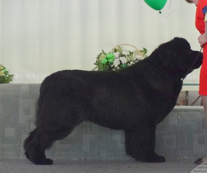 Фотография № 170488