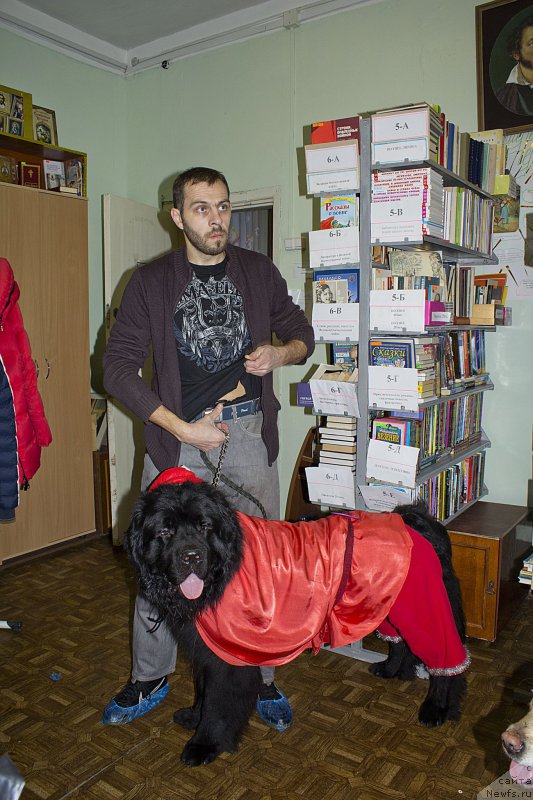 Фото: Andrey Volkov (Андрей Волков), ньюфаундленд L'vinoe Serdce (Львиное Сердце)