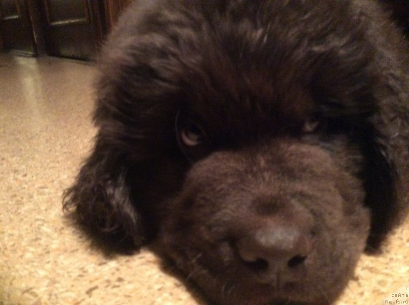 Фотография № 170539