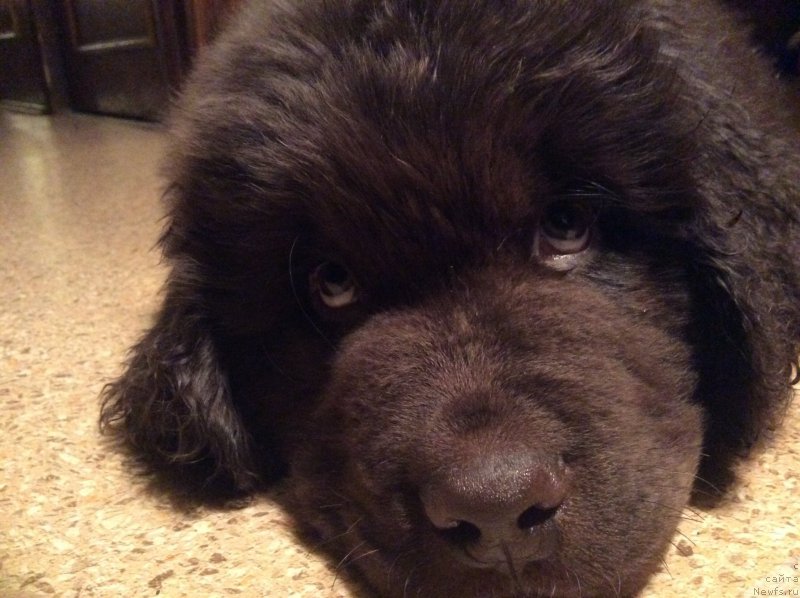 Фотография № 170540