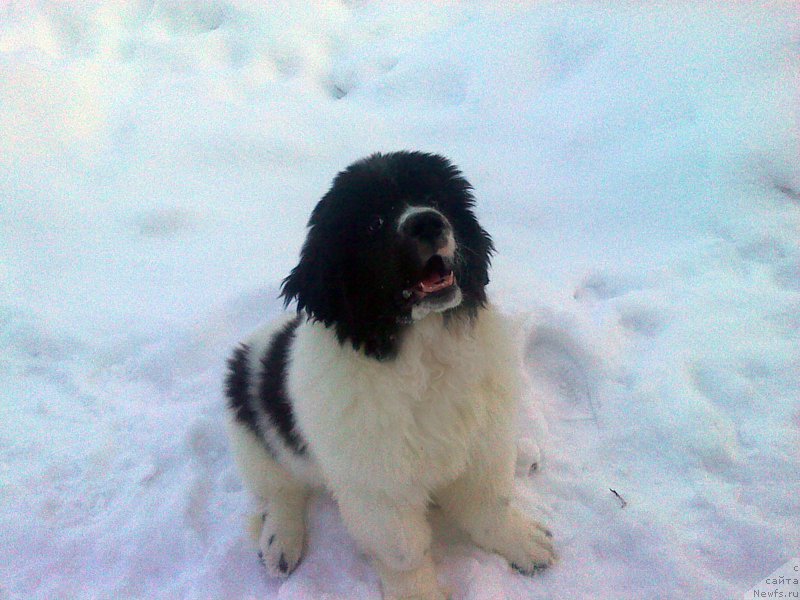 Фото: Наш мальчишка!