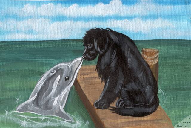 Фотография № 170551