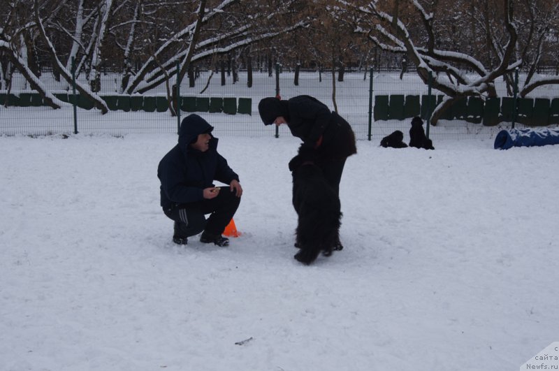 Фотография № 170579