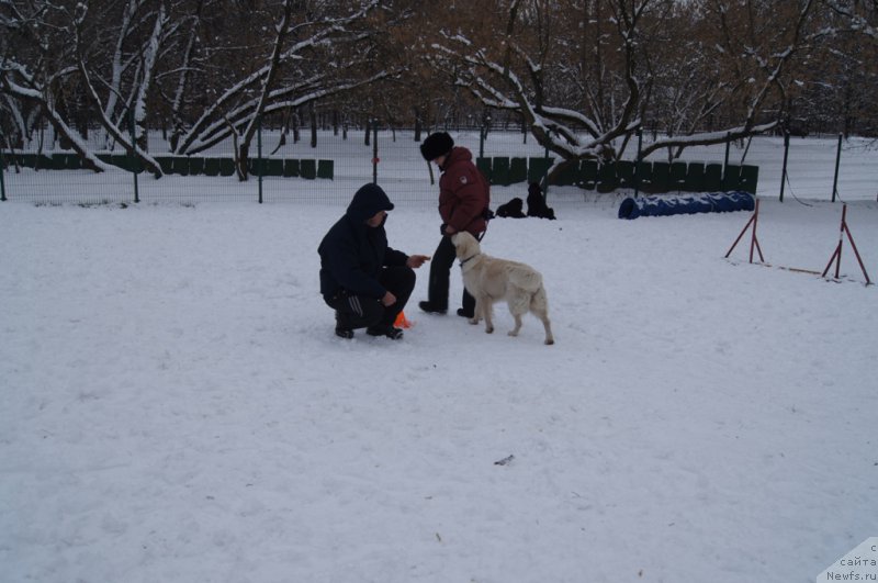 Фото: Aleksandr Burmistrov (Александр Бурмистров), Надежда, Айрис