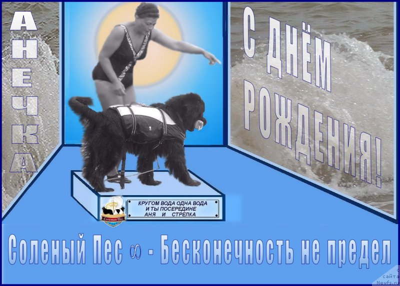 Фотография № 170585