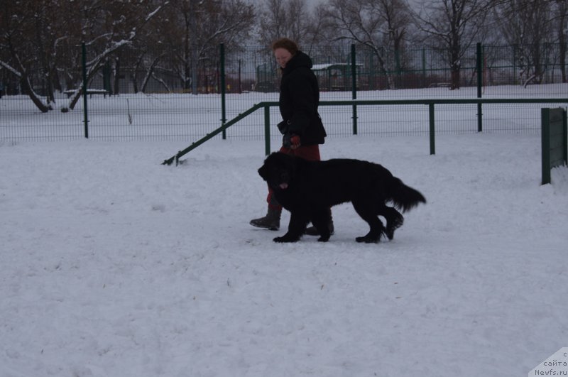 Фотография № 170587