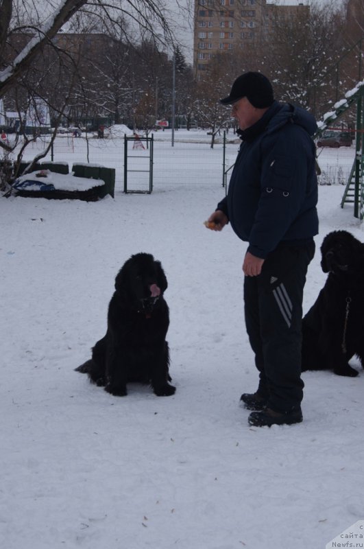 Фотография № 170592