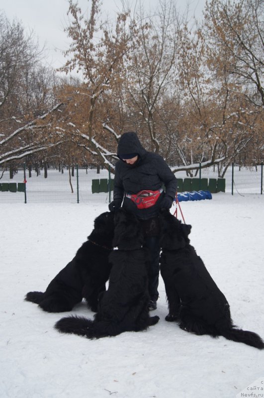 Фотография № 170597