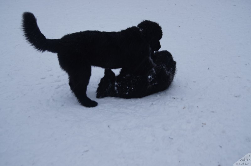 Фотография № 170606