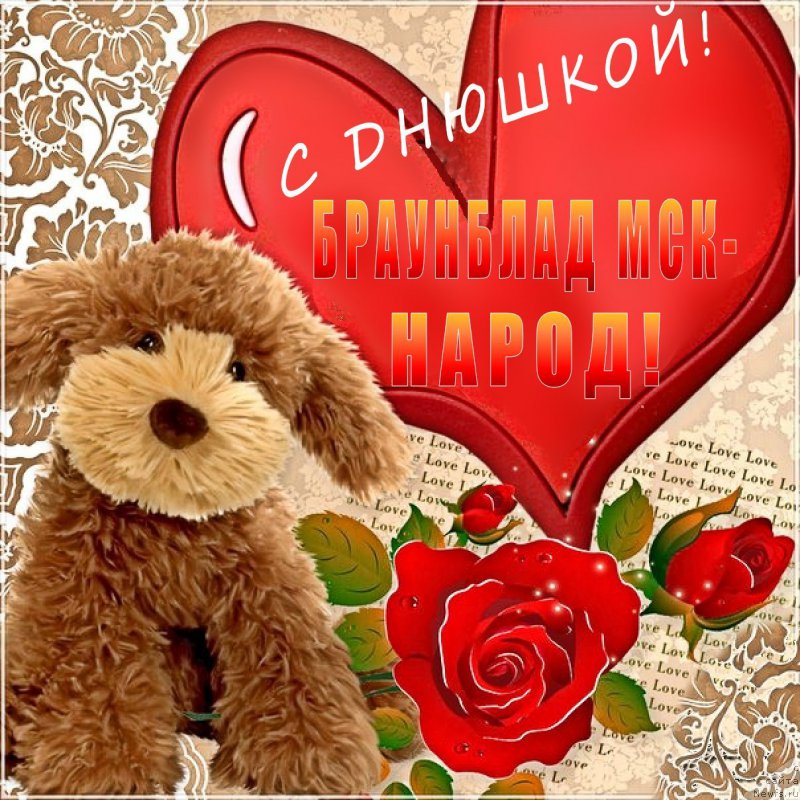 Фото: Elena SHmeleva (Елена Шмелева)