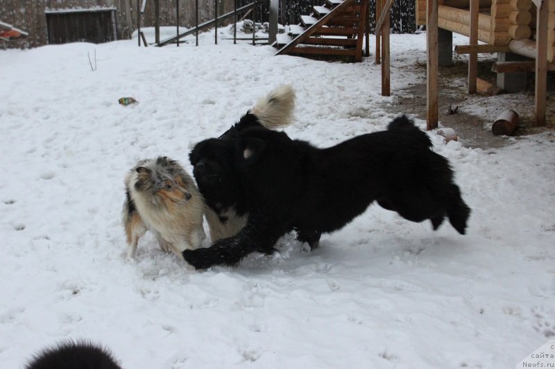 Фотография № 170616