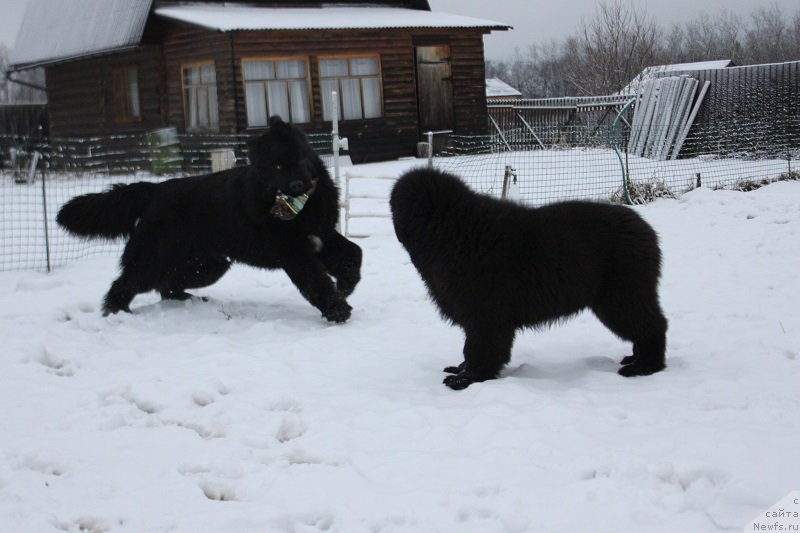 Фотография № 170622