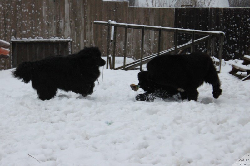 Фотография № 170623