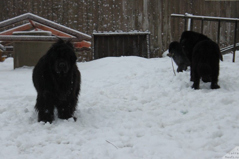 Фотография № 170624