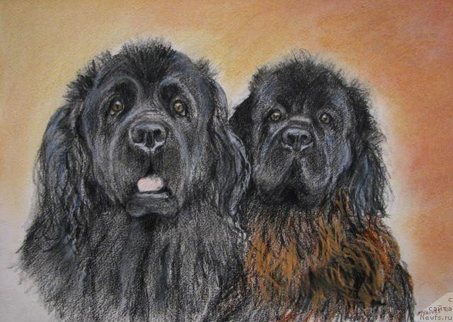 Фотография № 170664