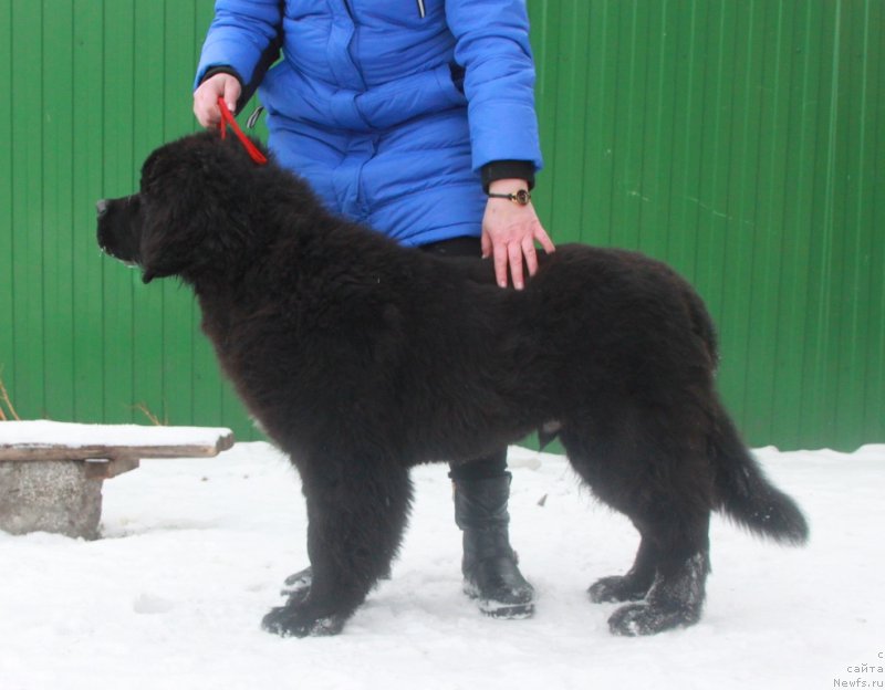 Фотография № 170676