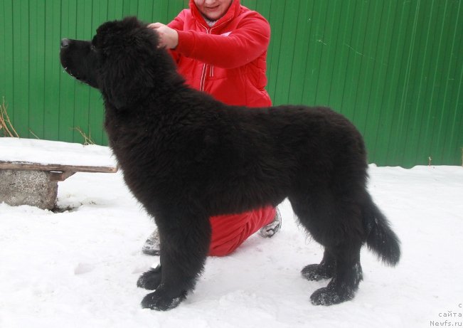 Фотография № 170694