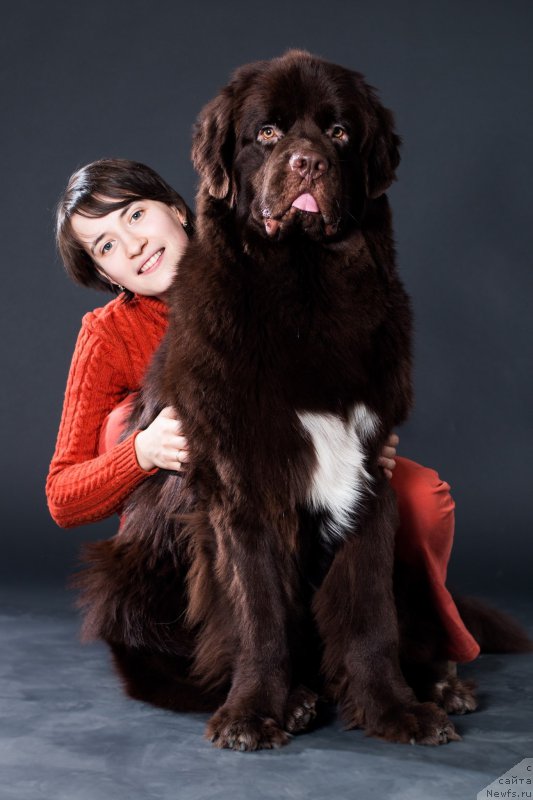 Фотография № 170700