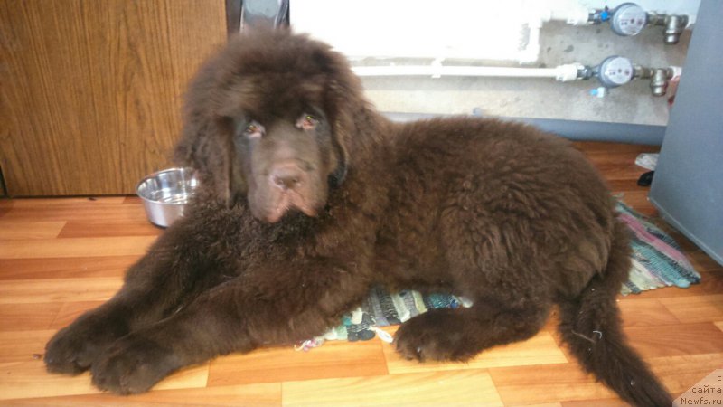 Фотография № 170703