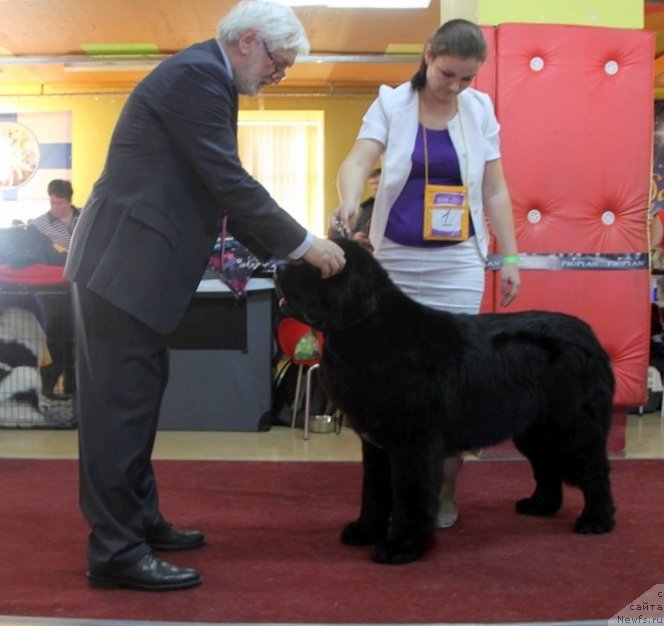 Фотография № 170710