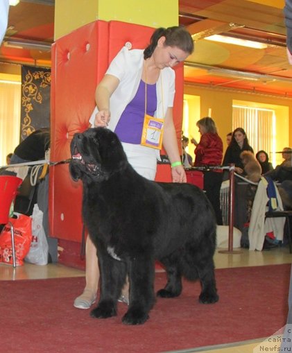 Фотография № 170711