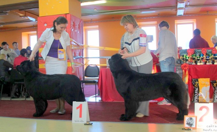 Фотография № 170714