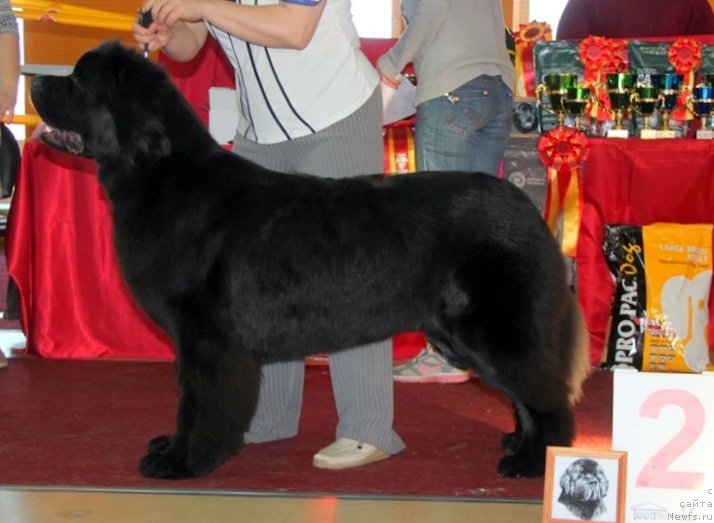 Фотография № 170715