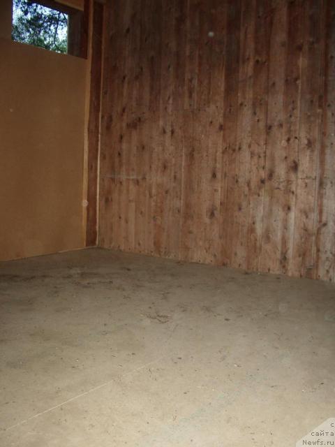 Фотография № 17074