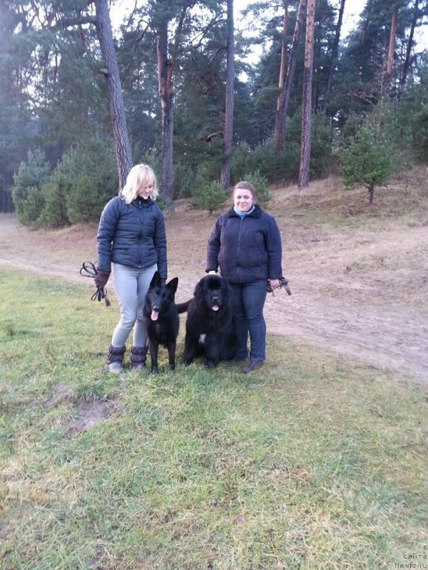 Фотография № 170748