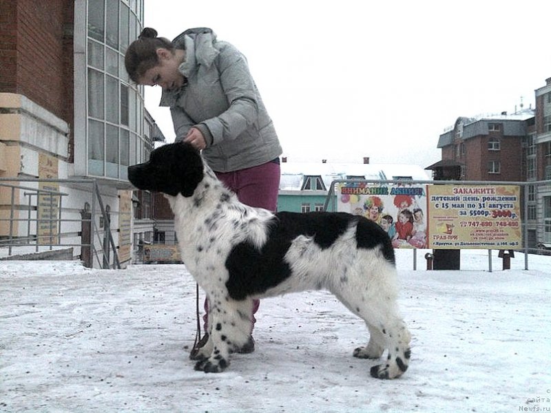 Фотография № 170750