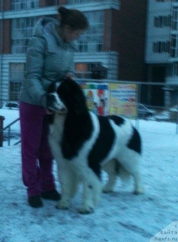 Фотография № 170751