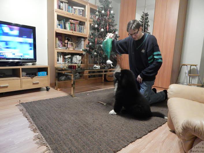 Фотография № 170753