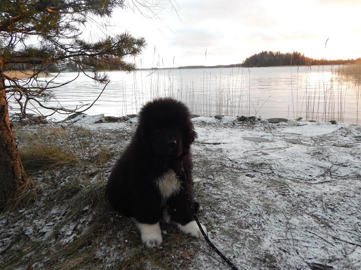 Фотография № 170755