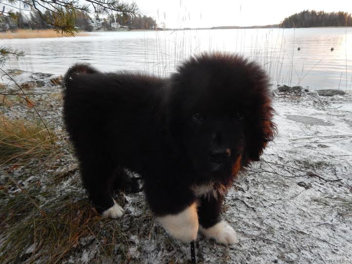 Фотография № 170756