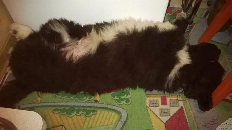 Фотография № 170759