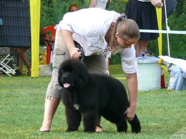 Фотография № 17076