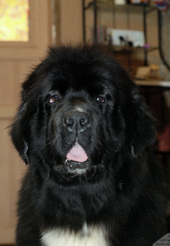 Фотография № 170768