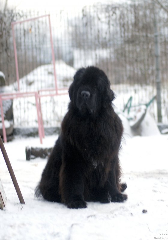 Фотография № 170770