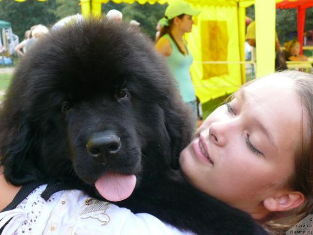 Фотография № 17078