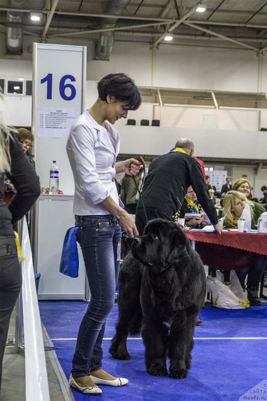 Фотография № 170785