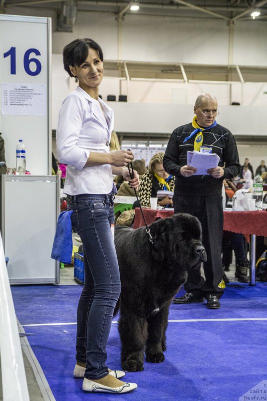 Фотография № 170788