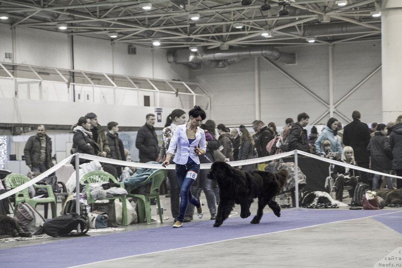 Фотография № 170792