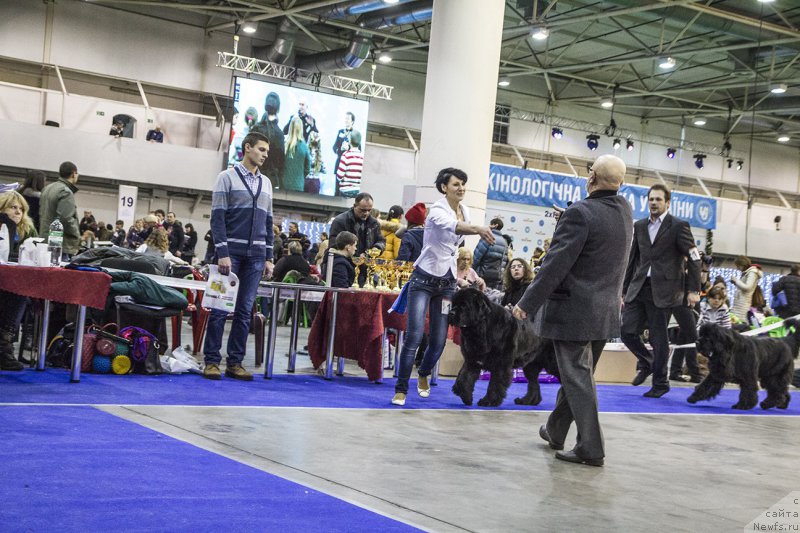 Фотография № 170793